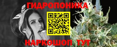 spice Донецк