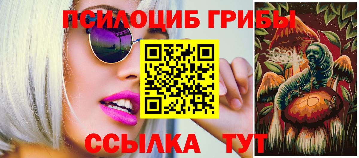 Назрань  купить наркотики цена  Вход с VPN  Псилоцибиновые грибы Psilocybine cubensis  Галлюциногенные грибы Cubensis 